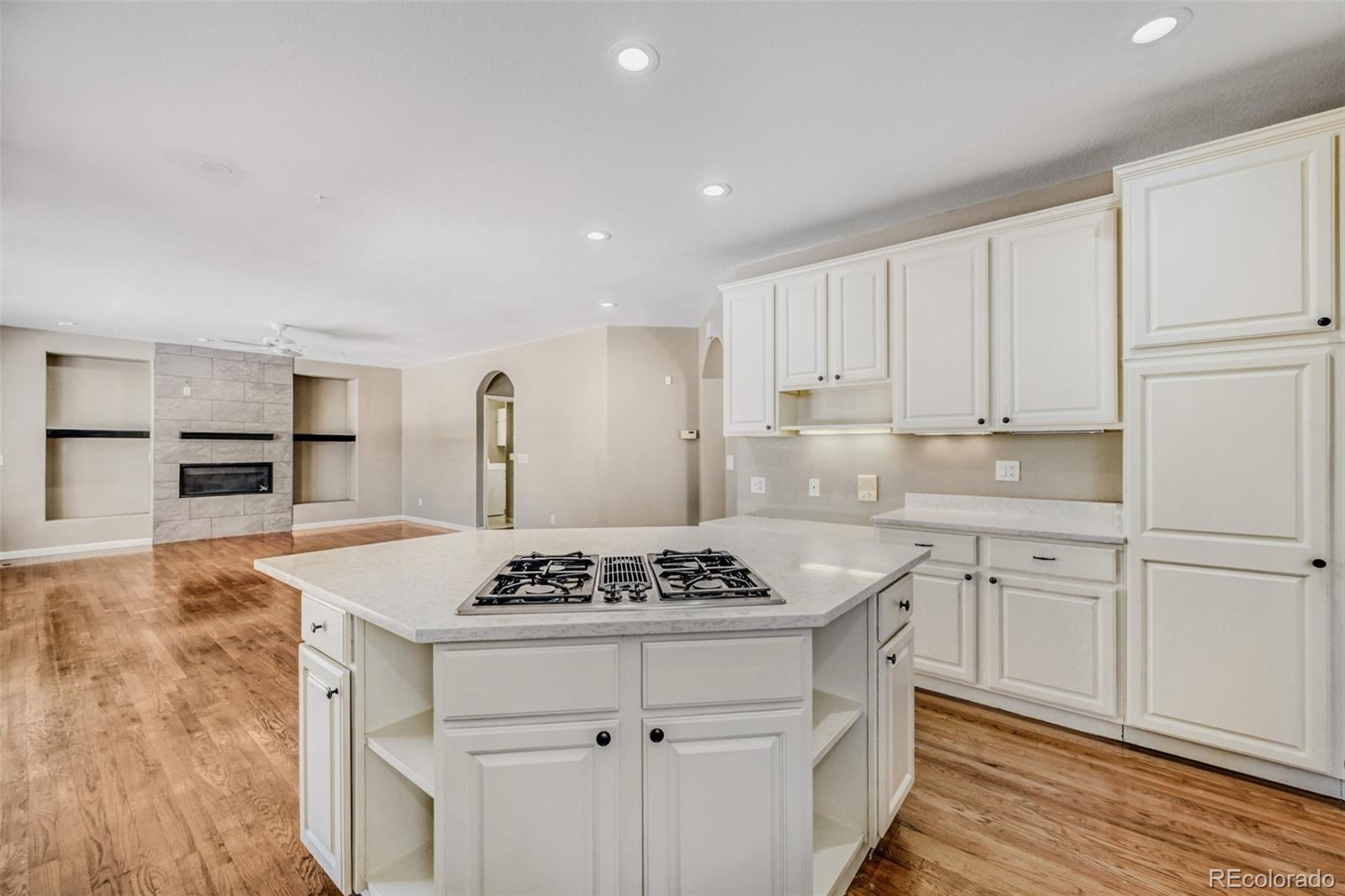 MLS Image #10 for 17544 e powers drive,centennial, Colorado
