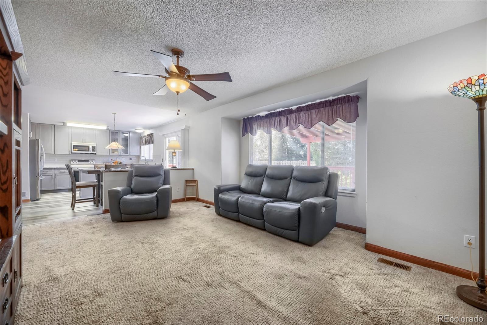 MLS Image #10 for 13088 w dorado place,littleton, Colorado