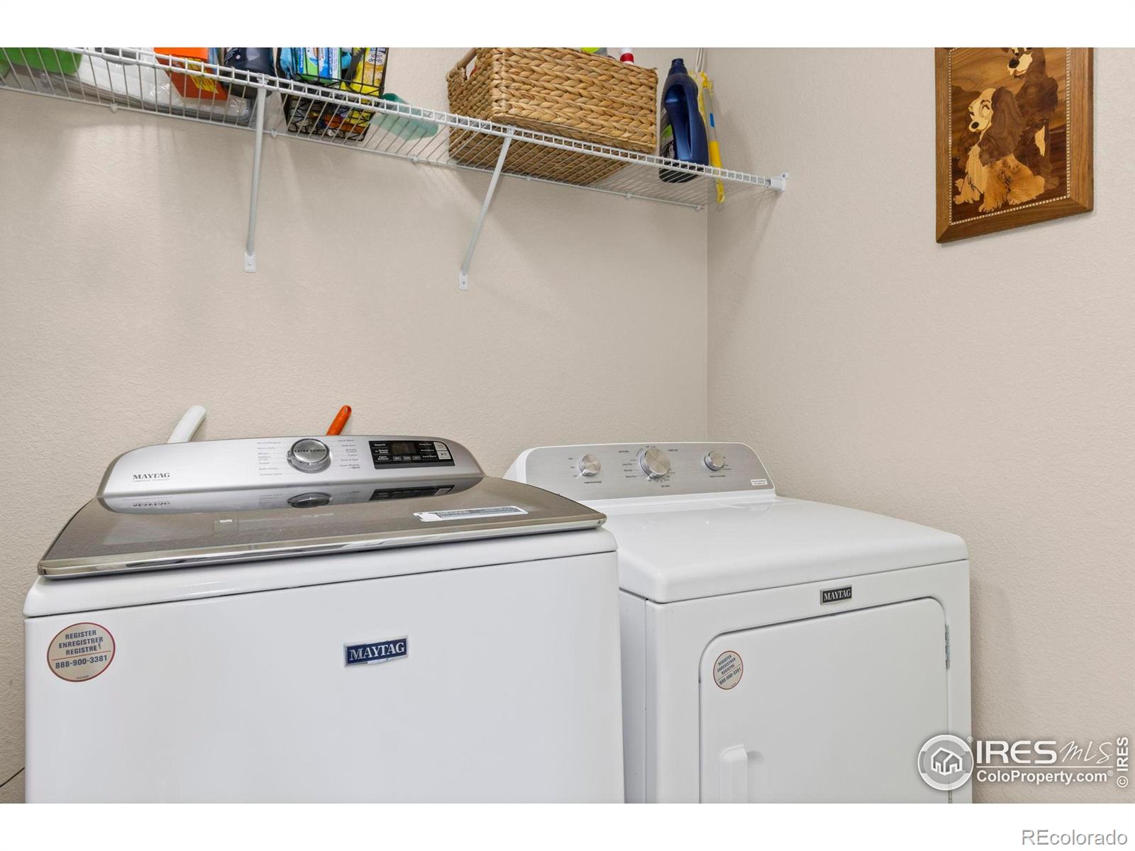 MLS Image #29 for 690 w 64th street,loveland, Colorado