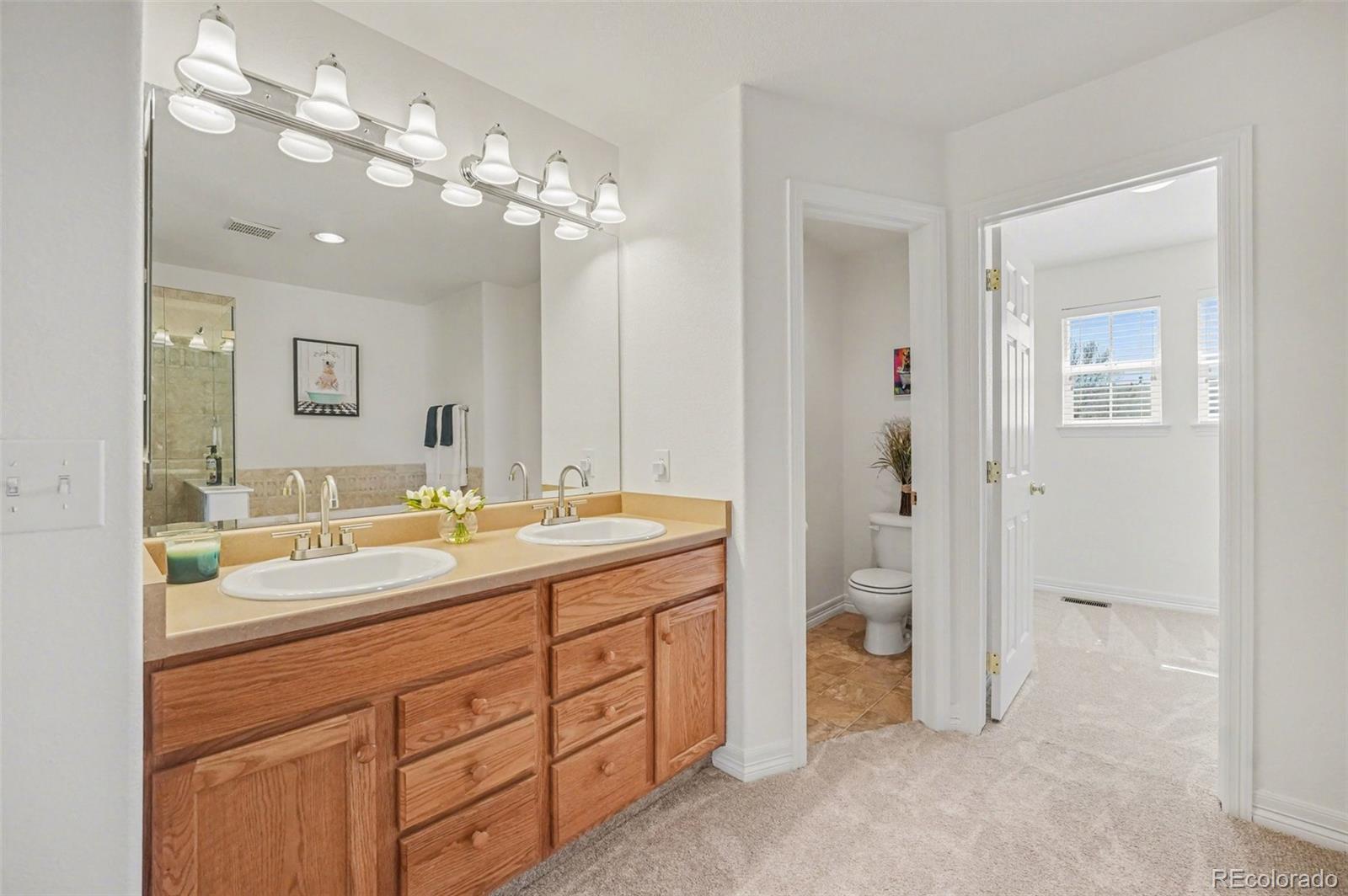 MLS Image #22 for 4277  prairie drive,brighton, Colorado