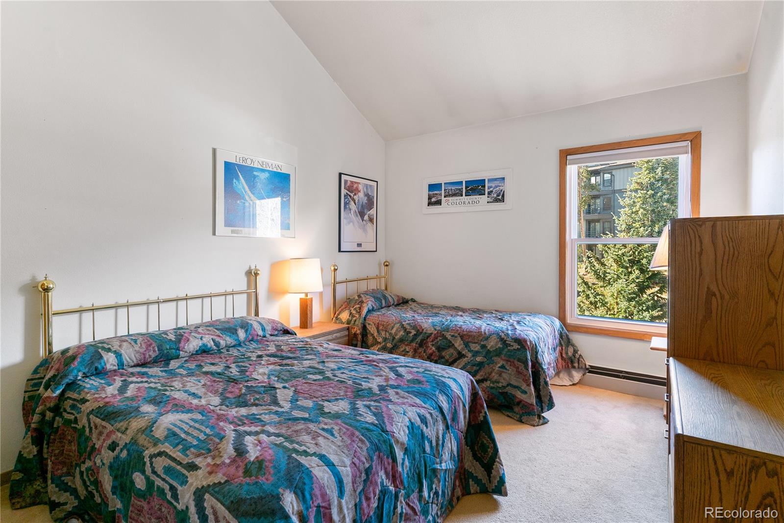MLS Image #12 for 89310  ryan gulch road,silverthorne, Colorado