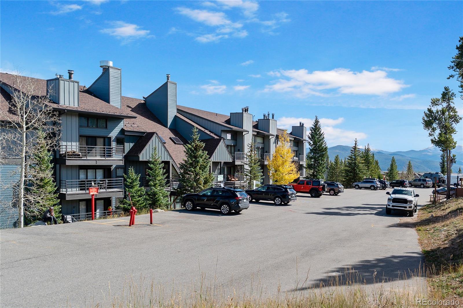 MLS Image #20 for 89310  ryan gulch road,silverthorne, Colorado