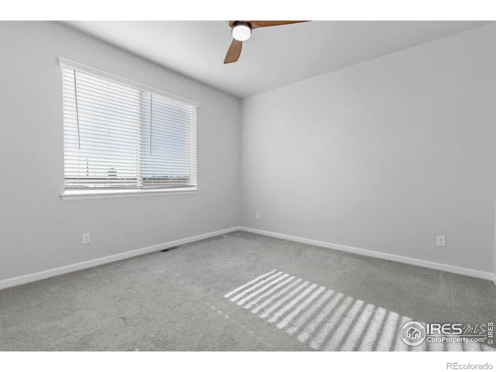 MLS Image #10 for 244  veronica drive,windsor, Colorado