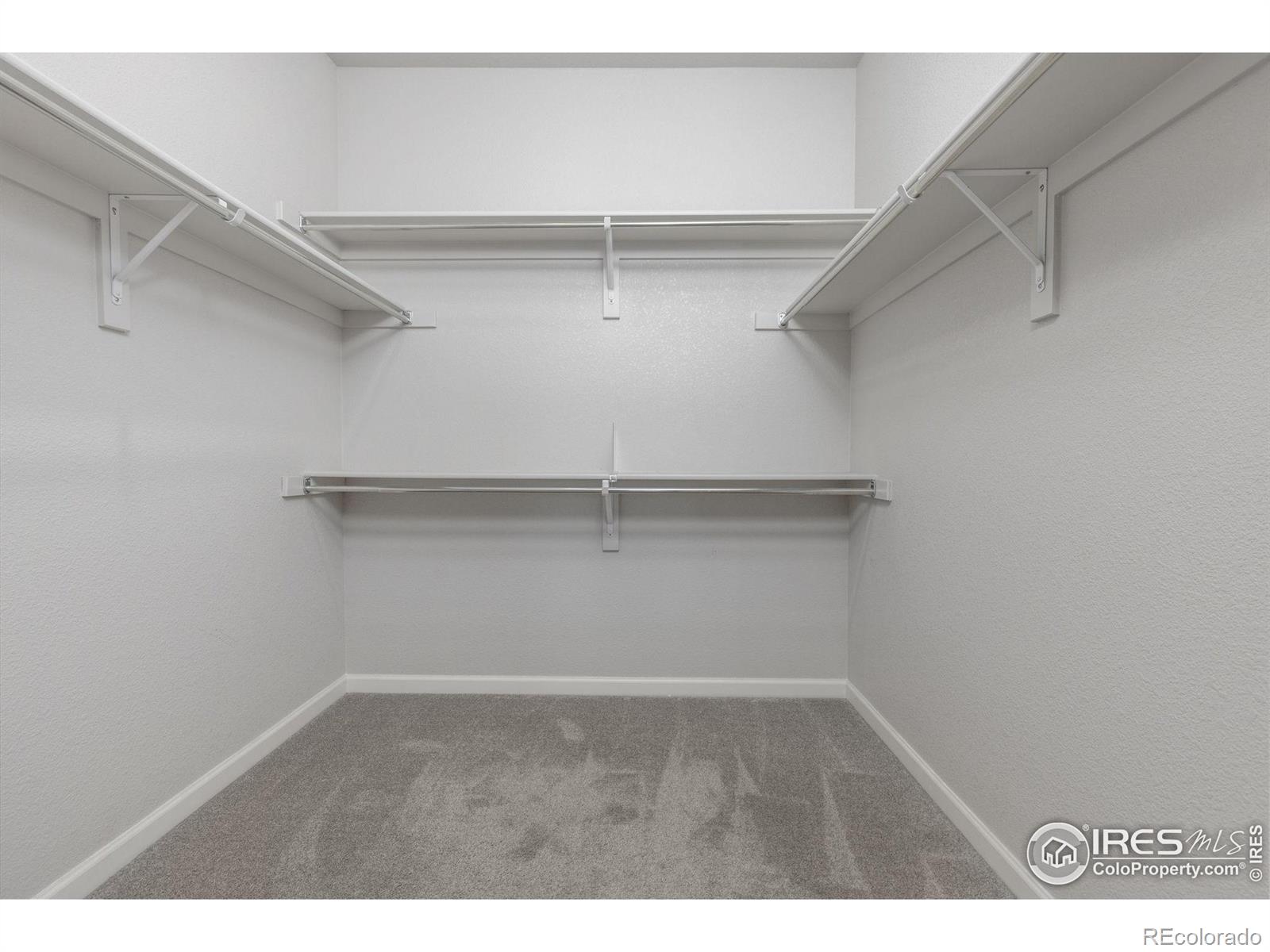 MLS Image #14 for 244  veronica drive,windsor, Colorado