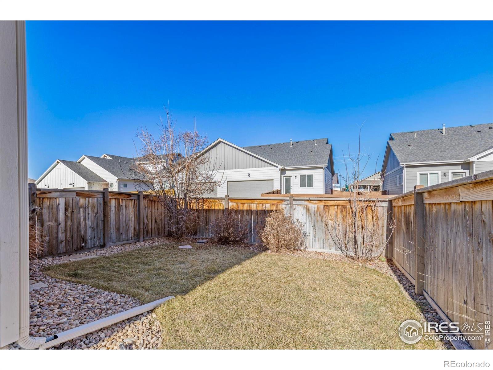 MLS Image #23 for 244  veronica drive,windsor, Colorado