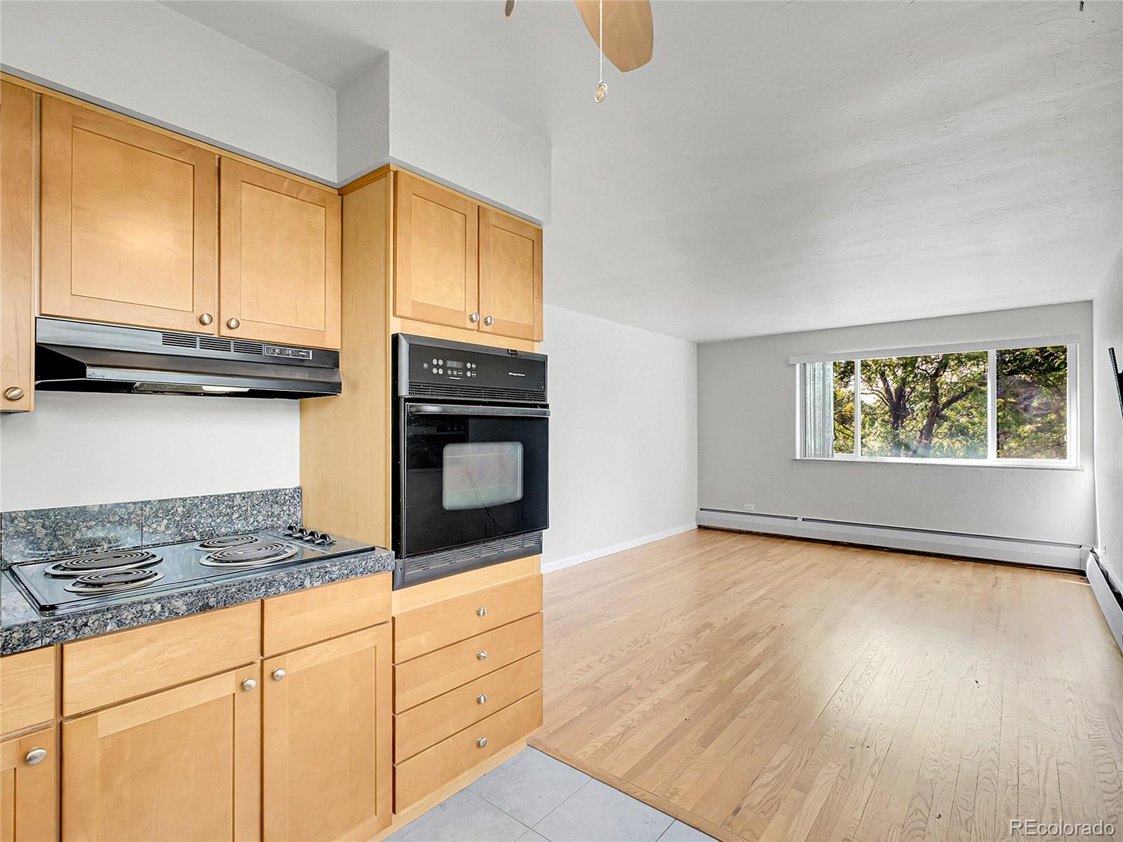 MLS Image #14 for 1056 n marion street,denver, Colorado