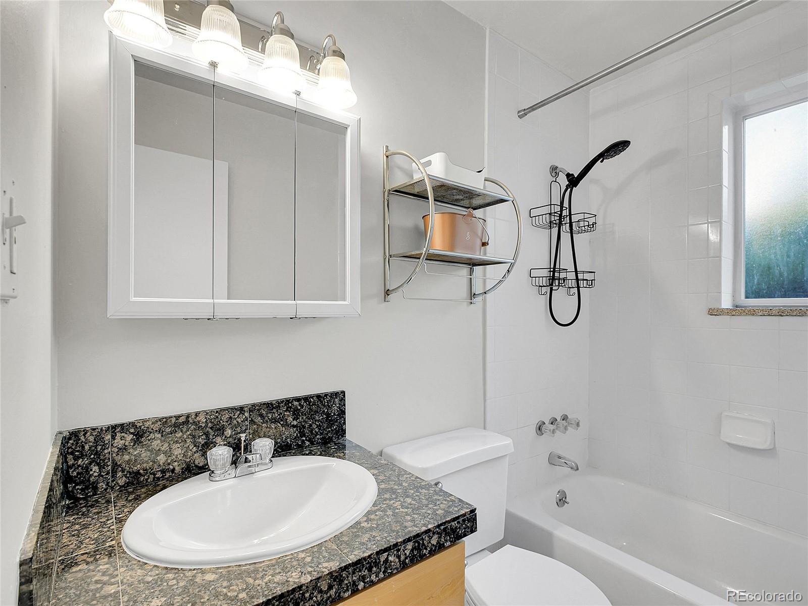 MLS Image #18 for 1056 n marion street,denver, Colorado
