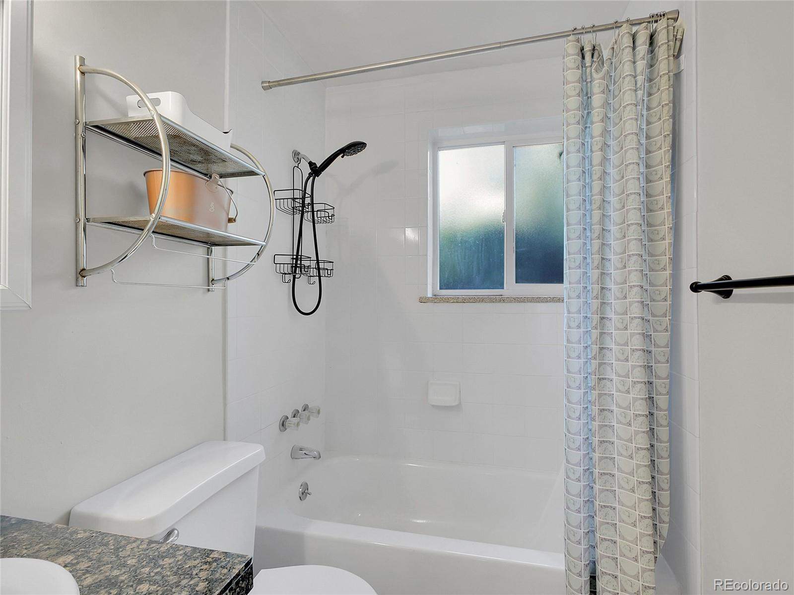MLS Image #19 for 1056 n marion street,denver, Colorado