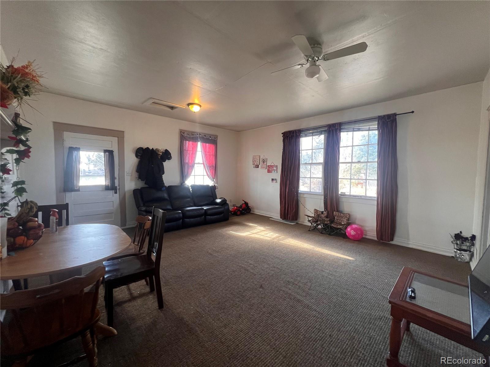 MLS Image #3 for 38563  monroe street,agate, Colorado