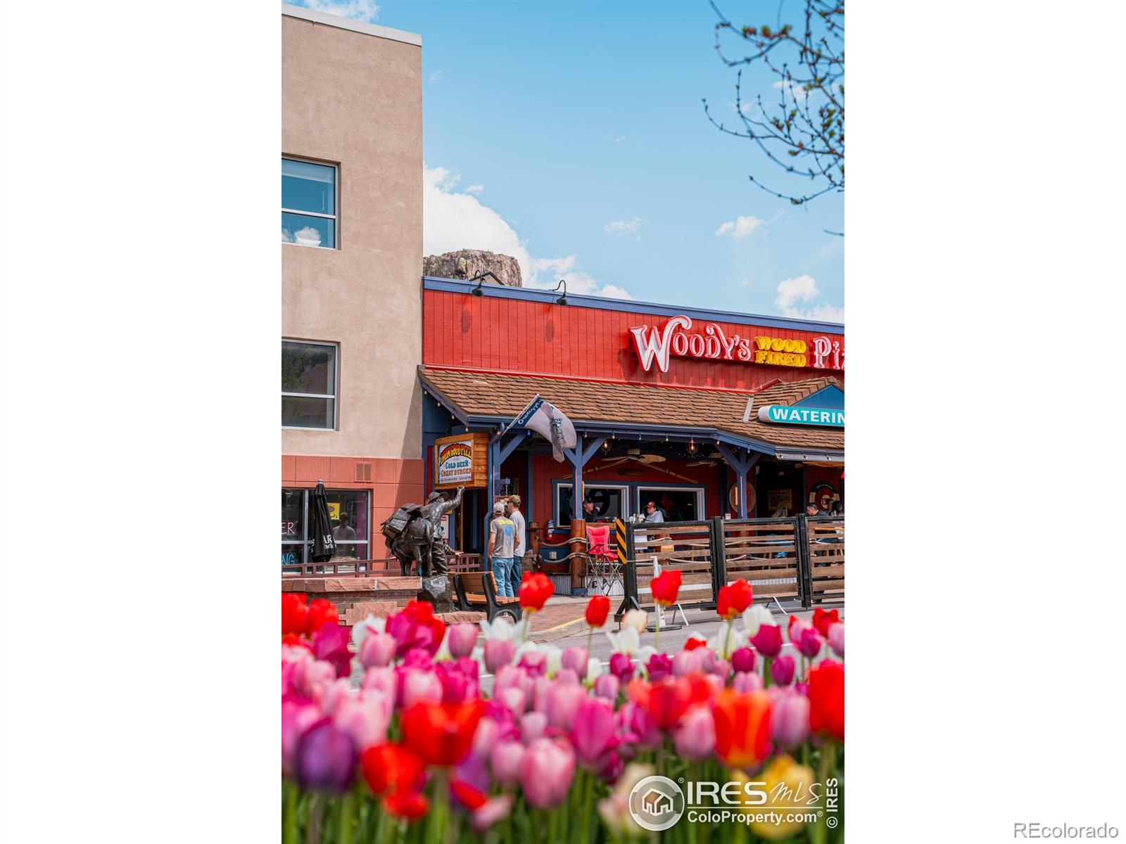 MLS Image #12 for 14475  anvil circle,golden, Colorado