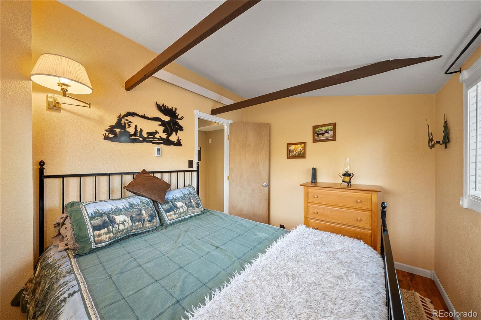 MLS Image #10 for 106  elk drive,bailey, Colorado