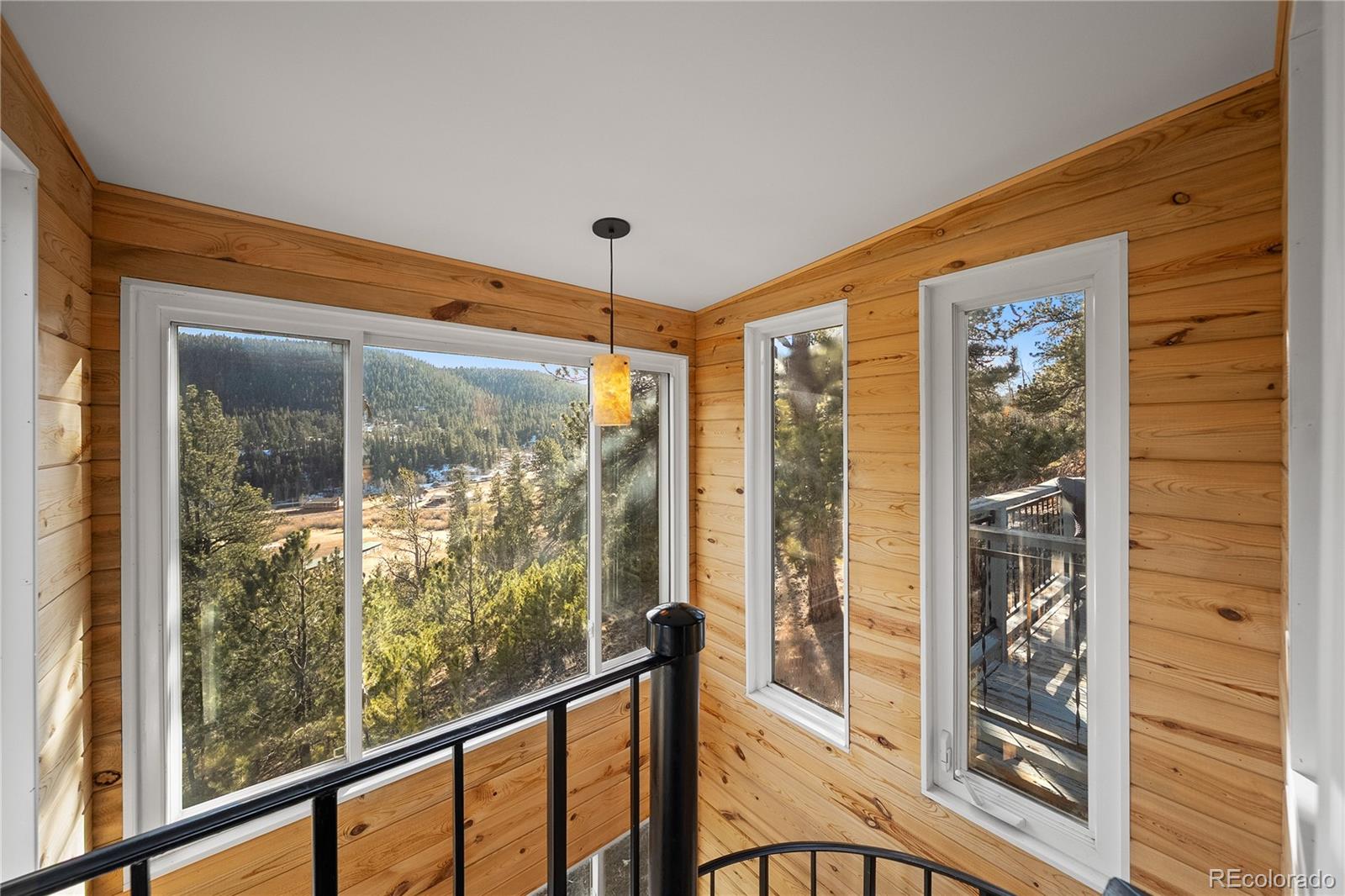 MLS Image #18 for 106  elk drive,bailey, Colorado
