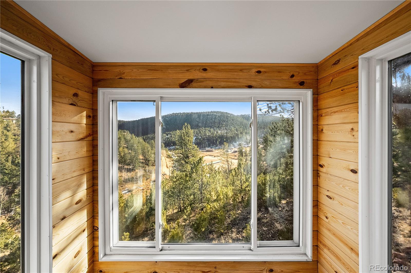 MLS Image #20 for 106  elk drive,bailey, Colorado