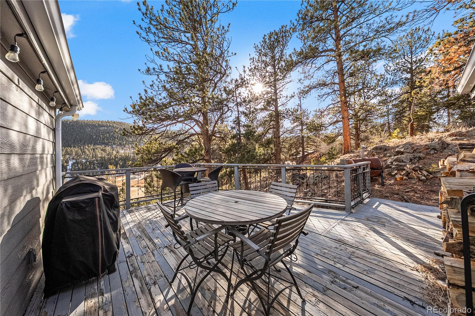MLS Image #21 for 106  elk drive,bailey, Colorado