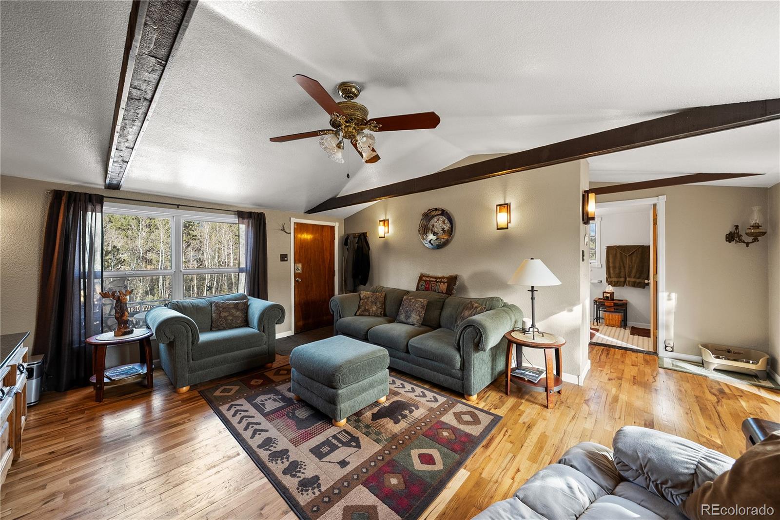 MLS Image #6 for 106  elk drive,bailey, Colorado