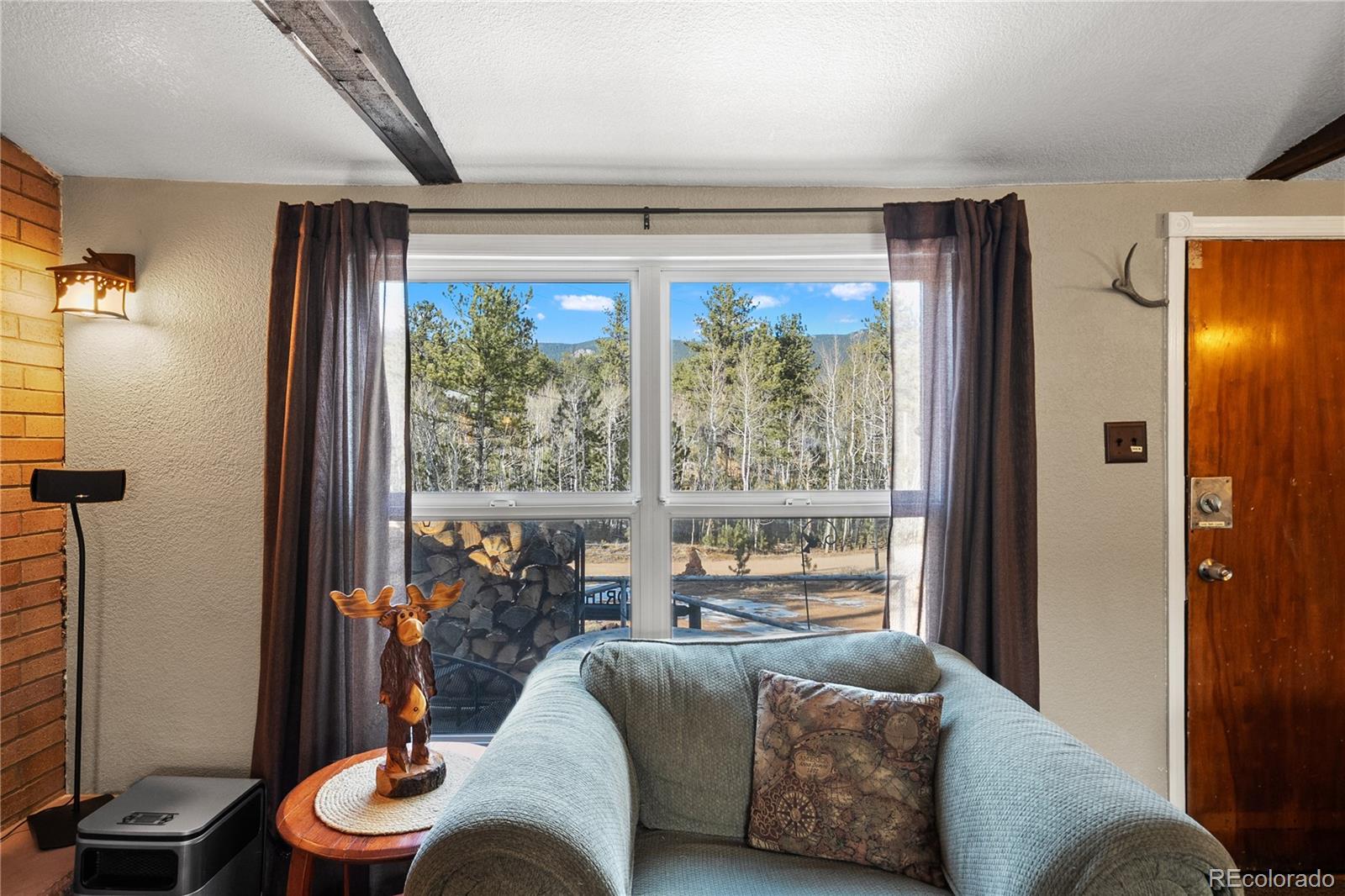 MLS Image #7 for 106  elk drive,bailey, Colorado