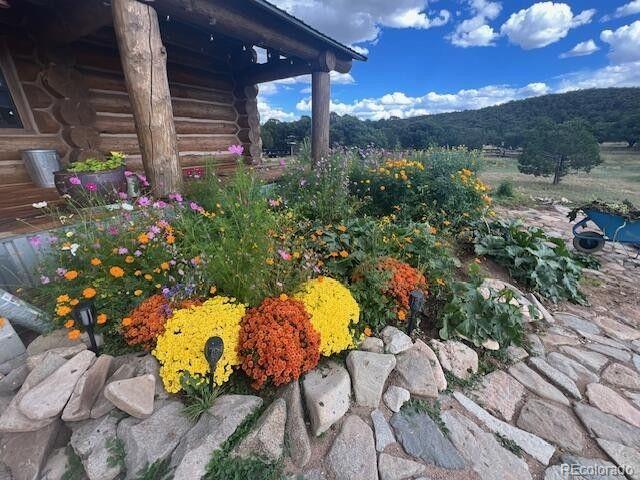 MLS Image #5 for    ,, Colorado