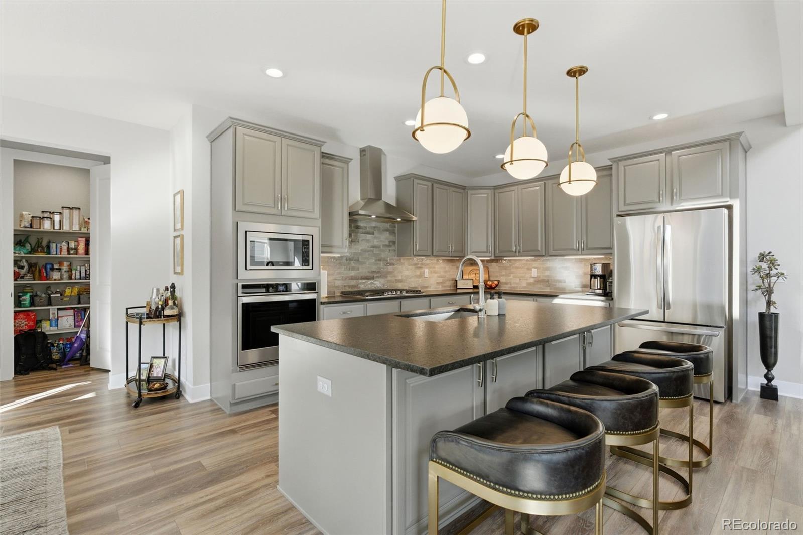 MLS Image #13 for 146  kitselman drive,castle rock, Colorado