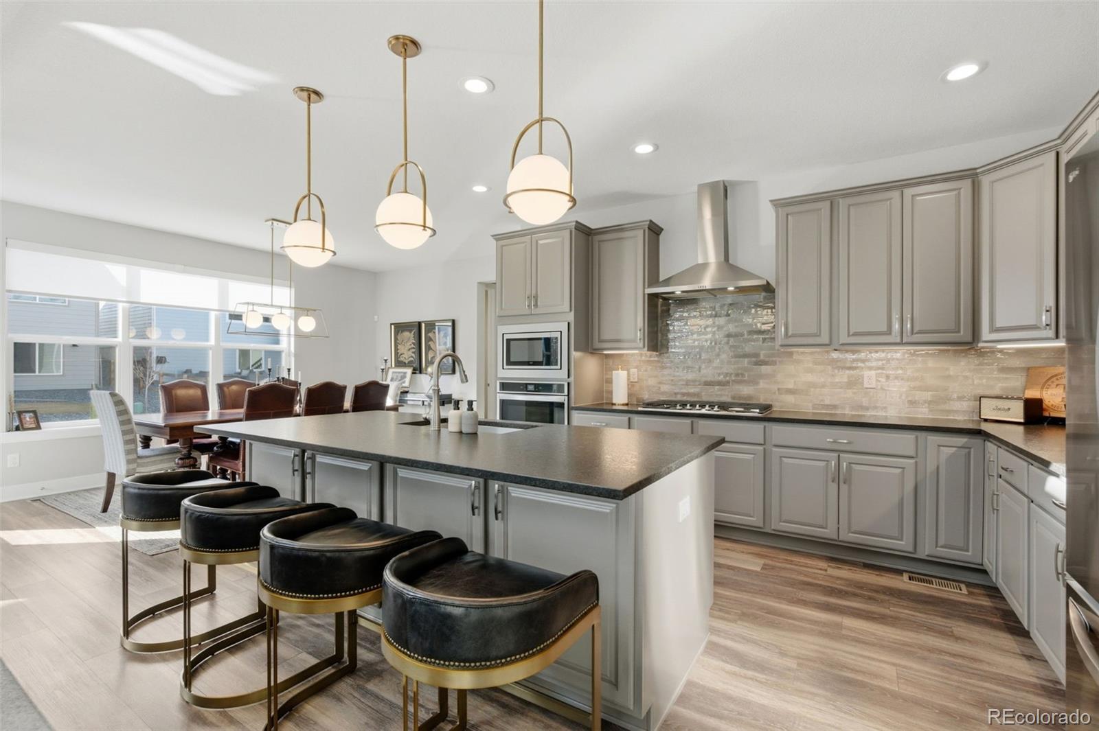 MLS Image #14 for 146  kitselman drive,castle rock, Colorado