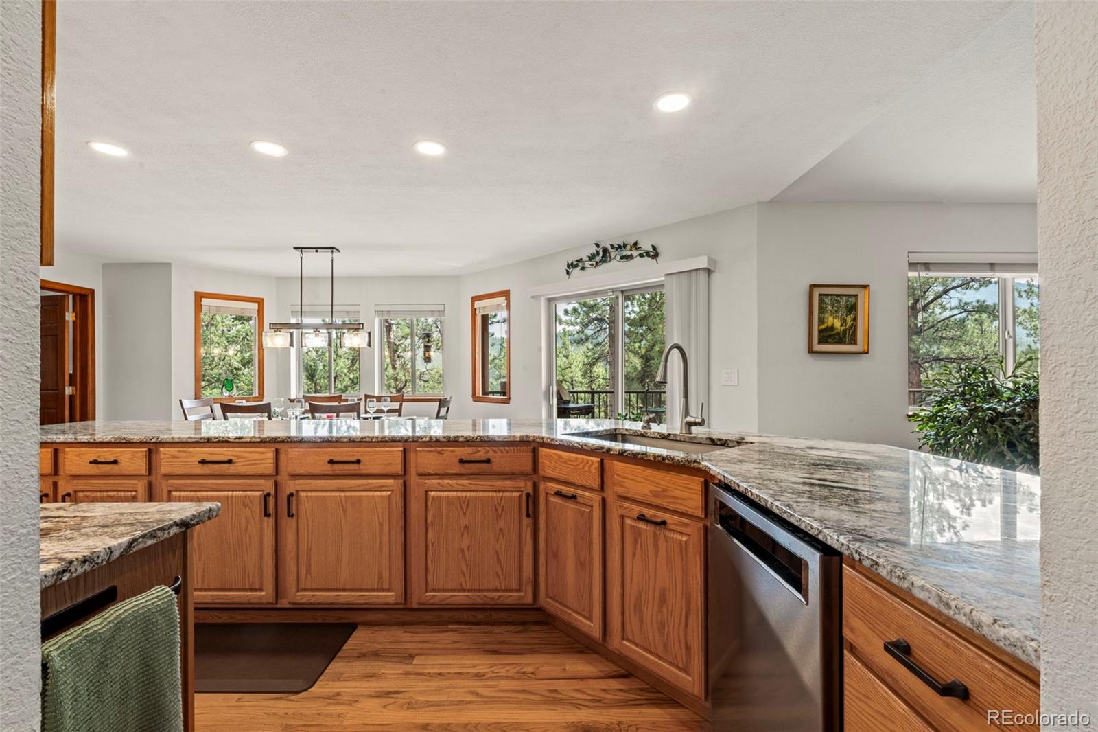 MLS Image #11 for 84  marys lane,bailey, Colorado