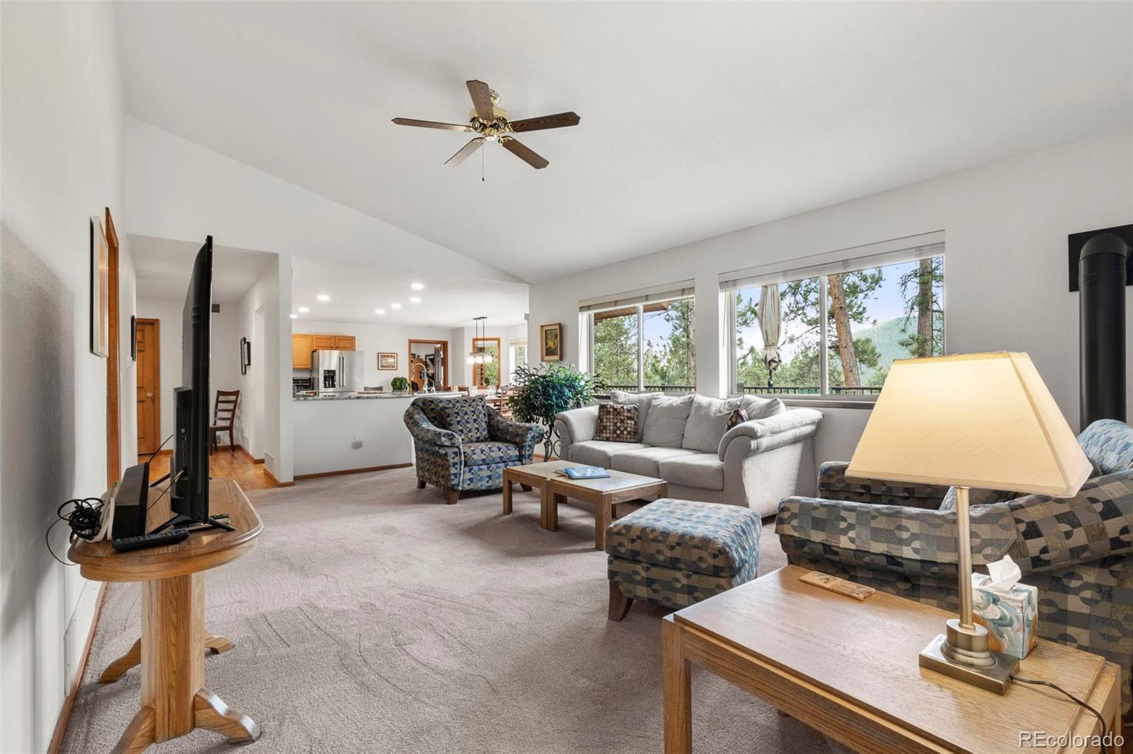 MLS Image #14 for 84  marys lane,bailey, Colorado