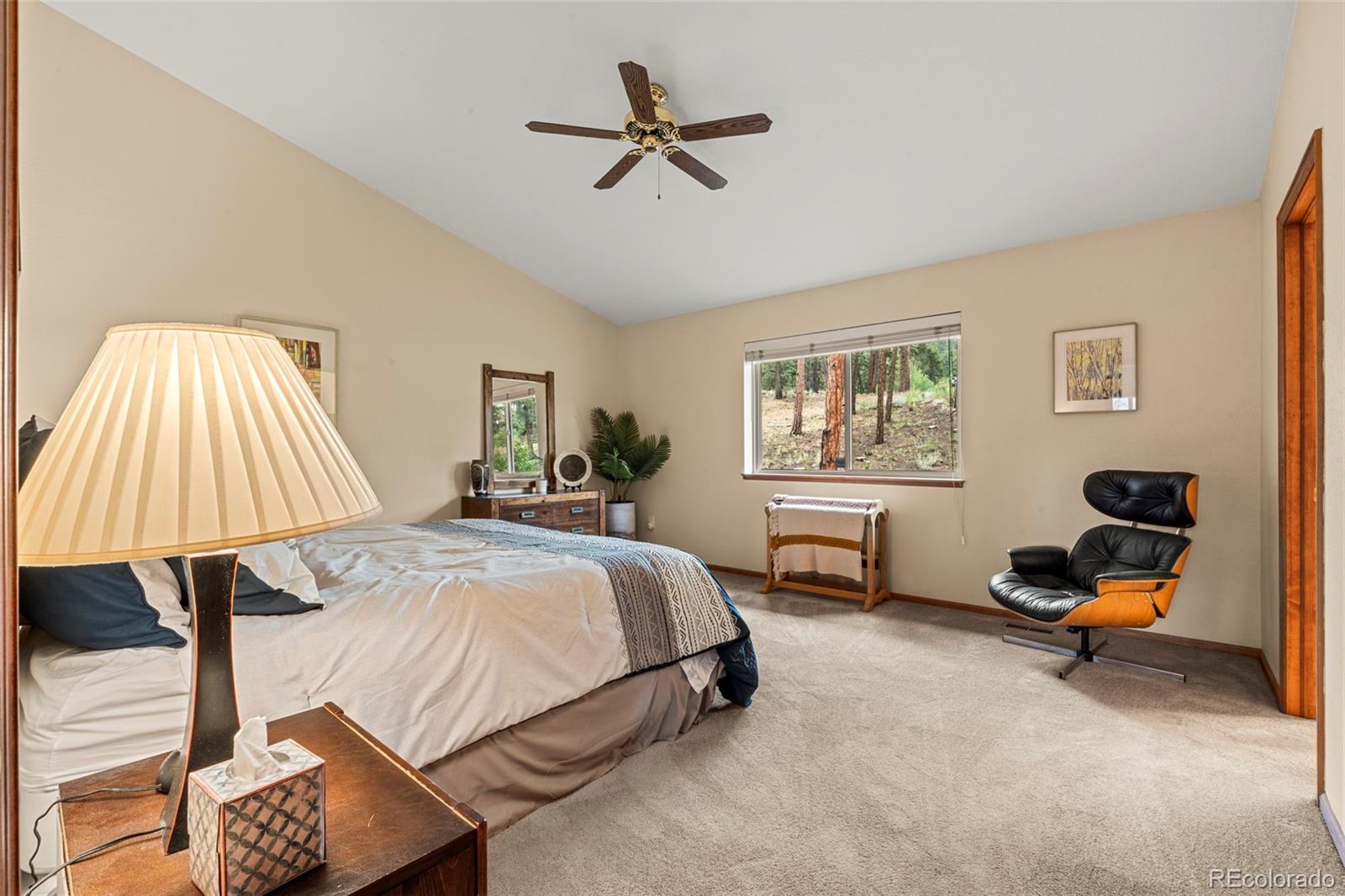 MLS Image #18 for 84  marys lane,bailey, Colorado