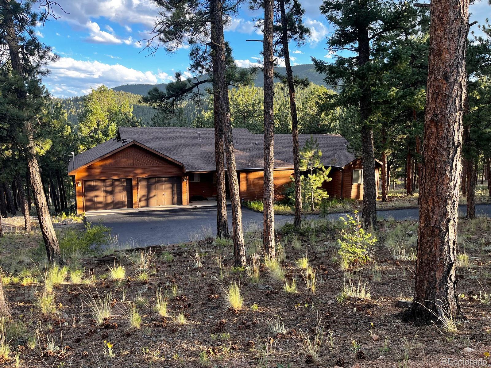 MLS Image #2 for 84  marys lane,bailey, Colorado