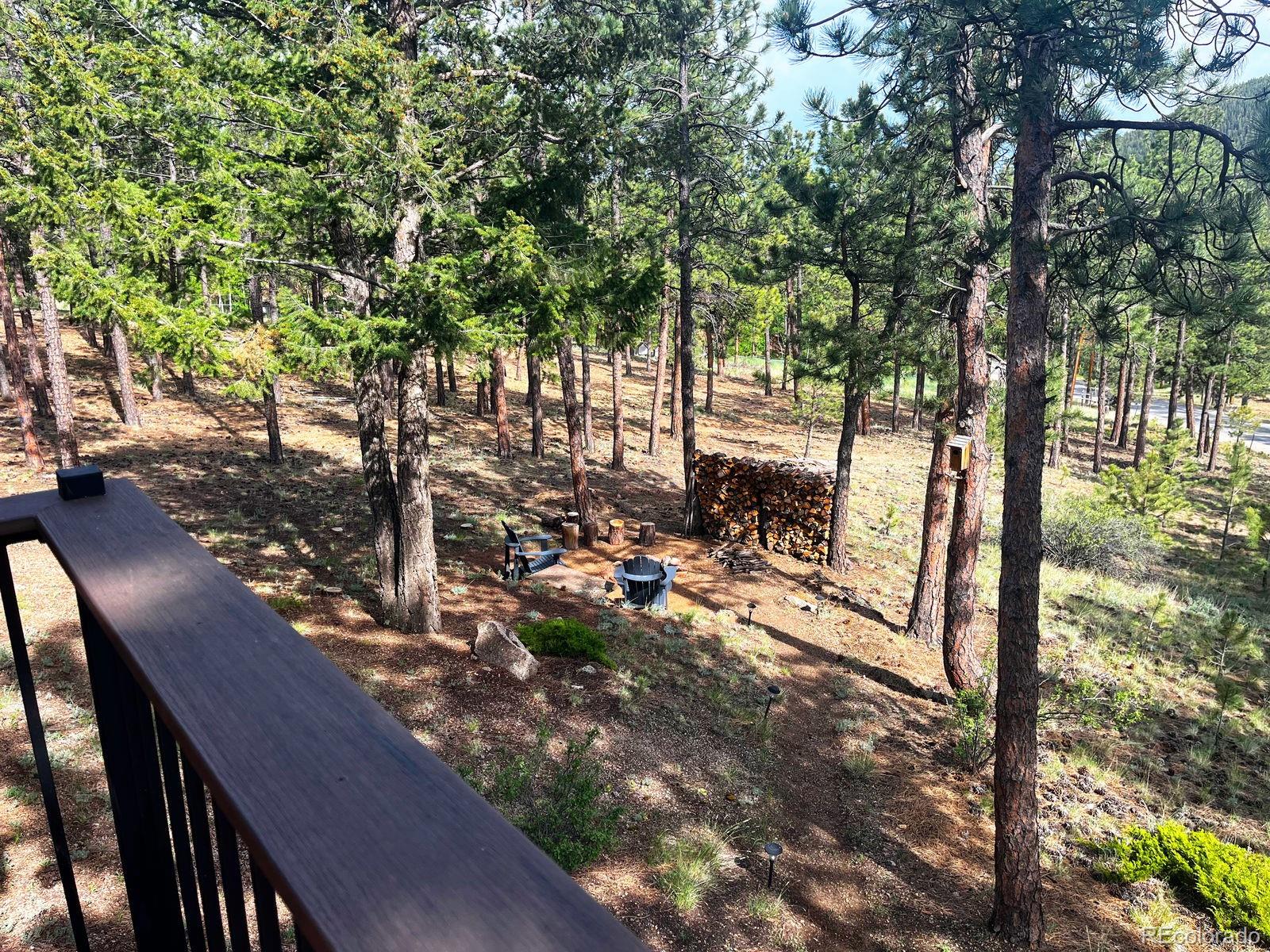 MLS Image #26 for 84  marys lane,bailey, Colorado