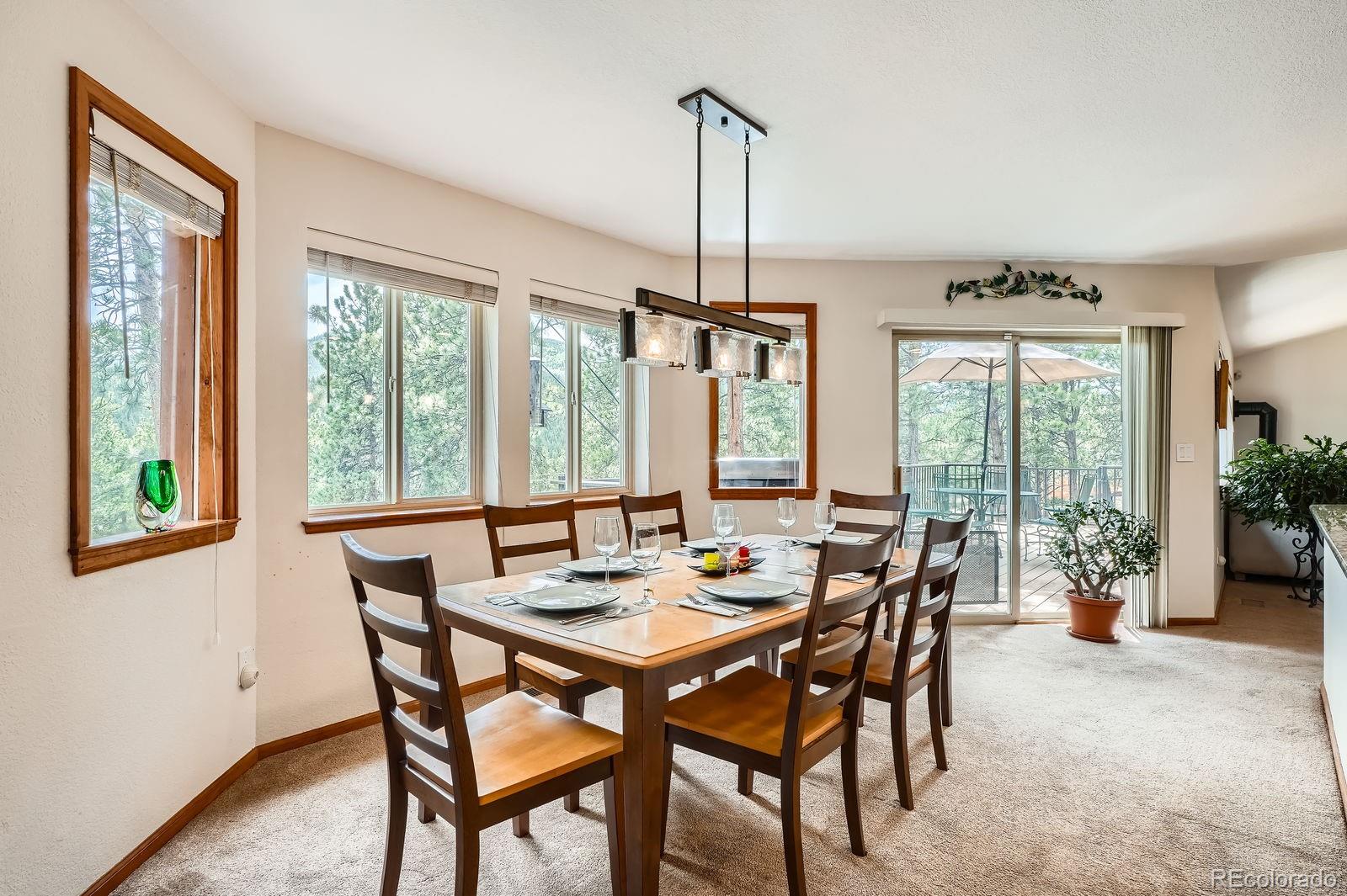 MLS Image #7 for 84  marys lane,bailey, Colorado