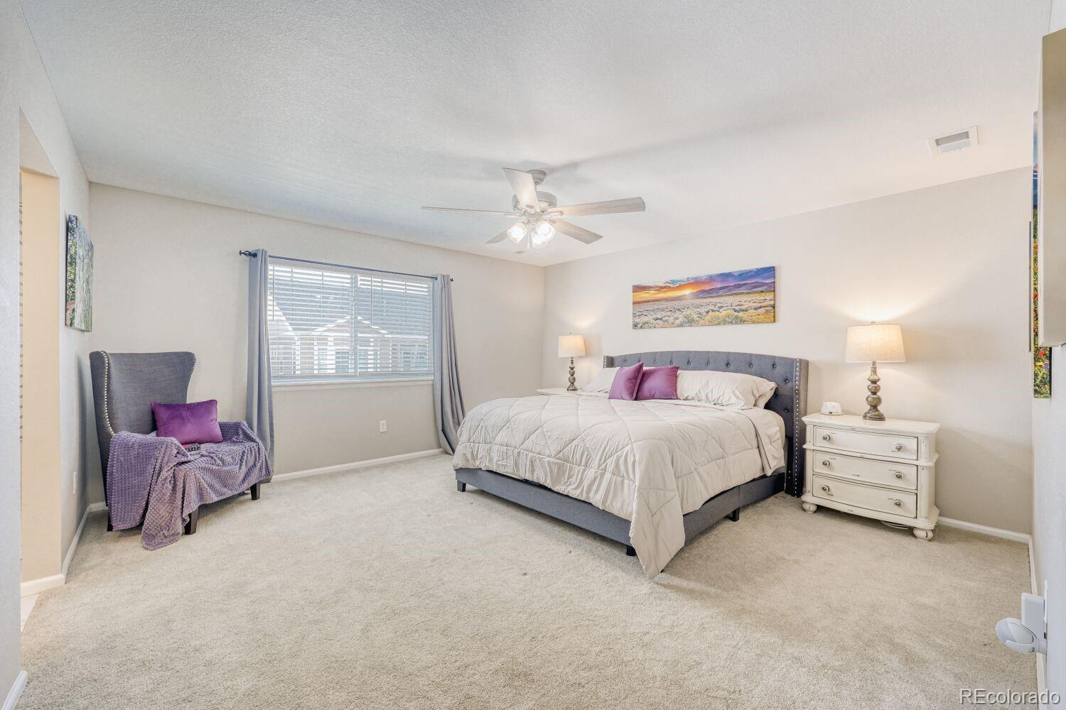 MLS Image #11 for 4647  gray wolf lane,castle rock, Colorado