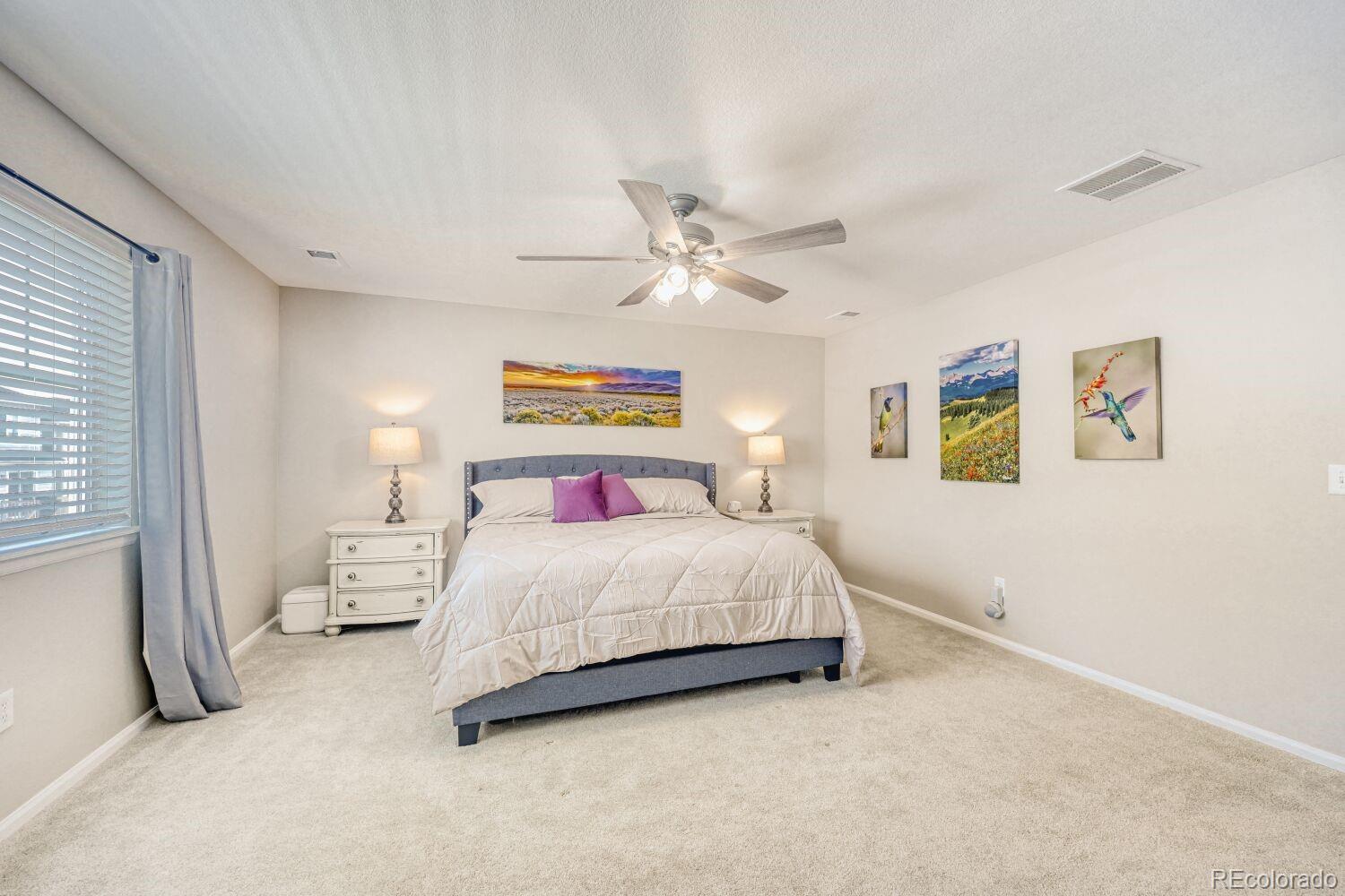 MLS Image #12 for 4647  gray wolf lane,castle rock, Colorado