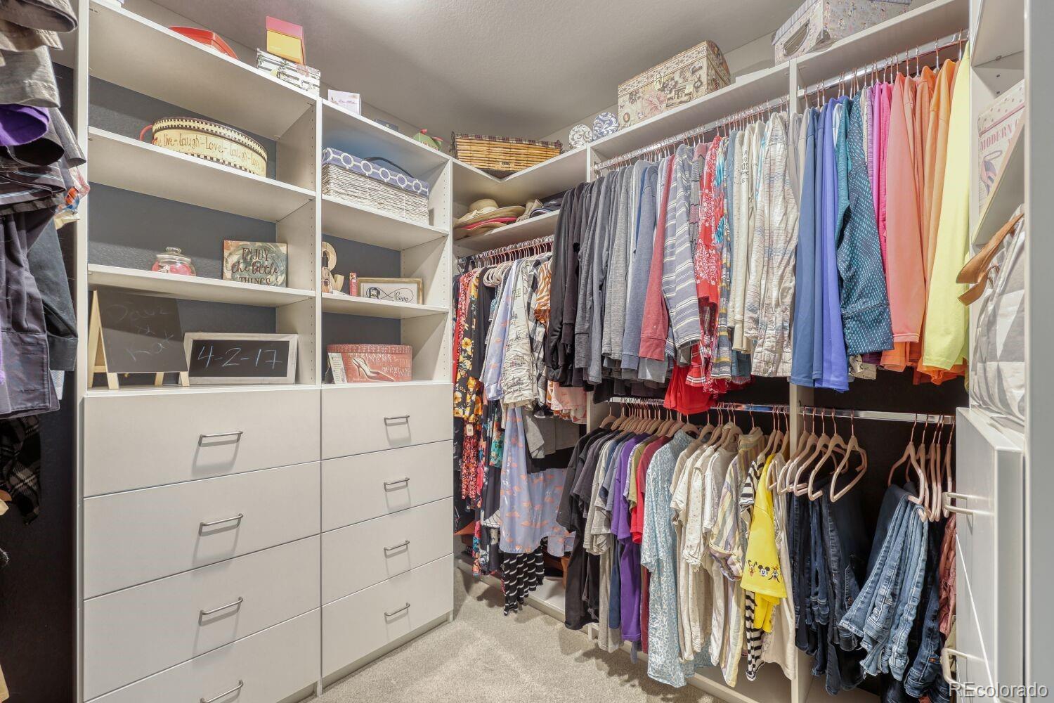MLS Image #21 for 4647  gray wolf lane,castle rock, Colorado
