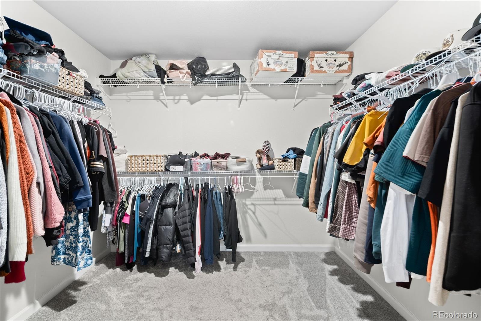 MLS Image #12 for 3888  grand baker street,aurora, Colorado