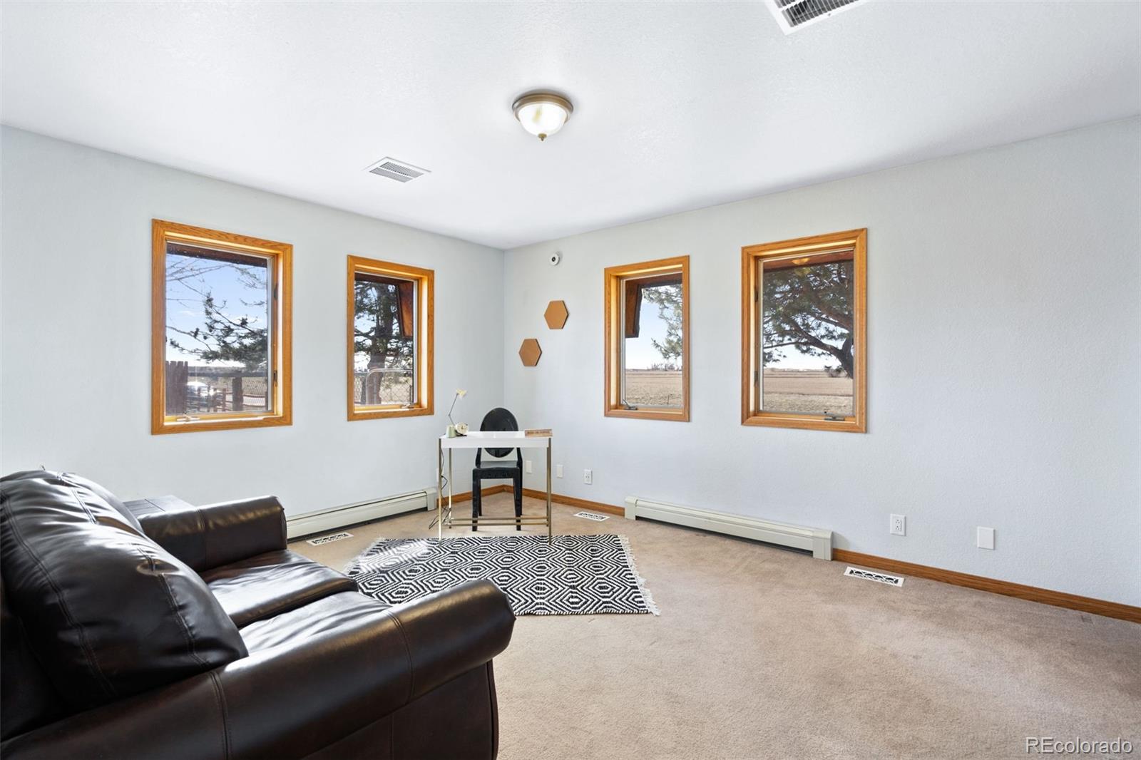 MLS Image #22 for 13231  dillon street,brighton, Colorado