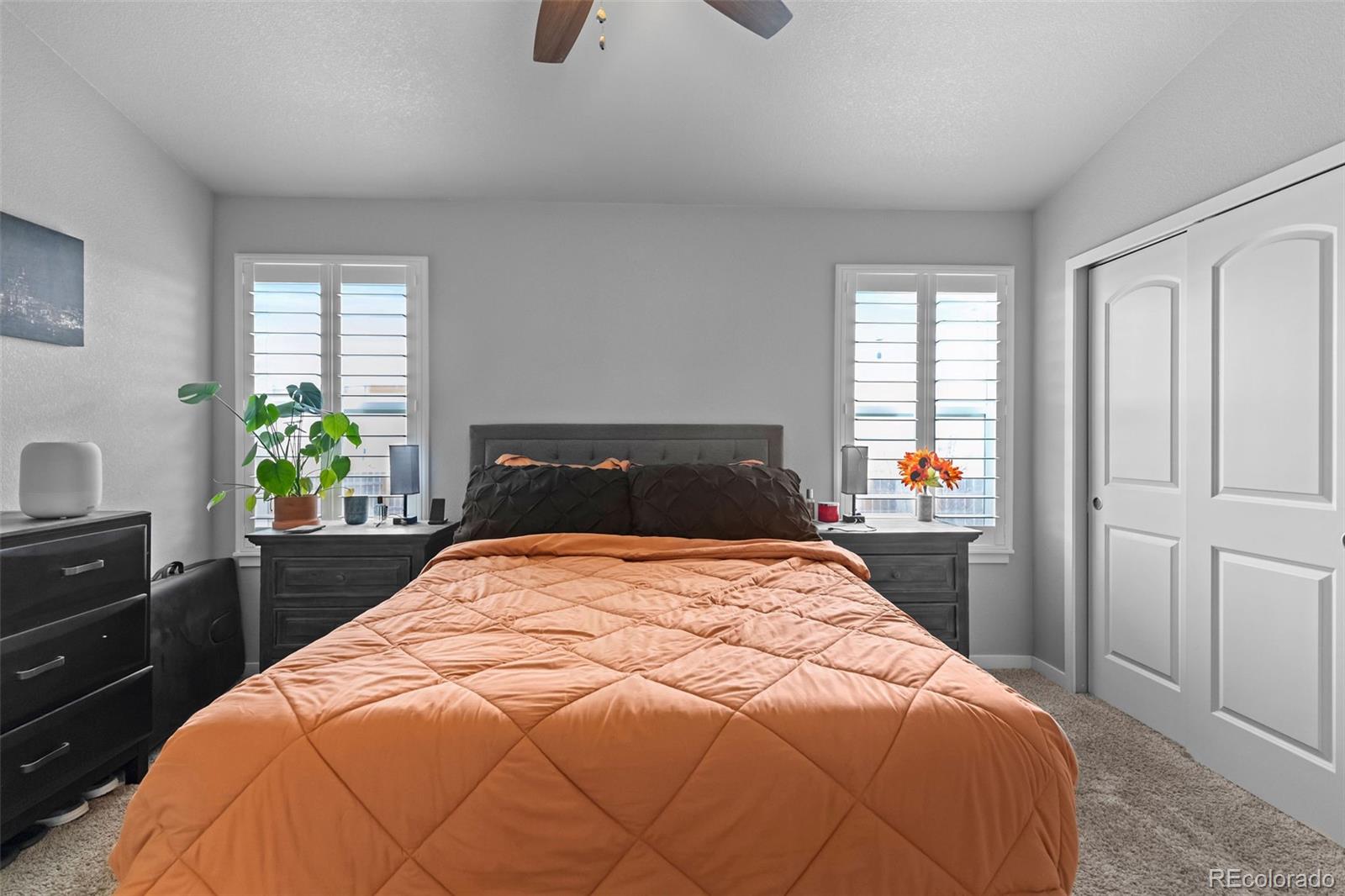 MLS Image #11 for 100  bluebell court,wiggins, Colorado
