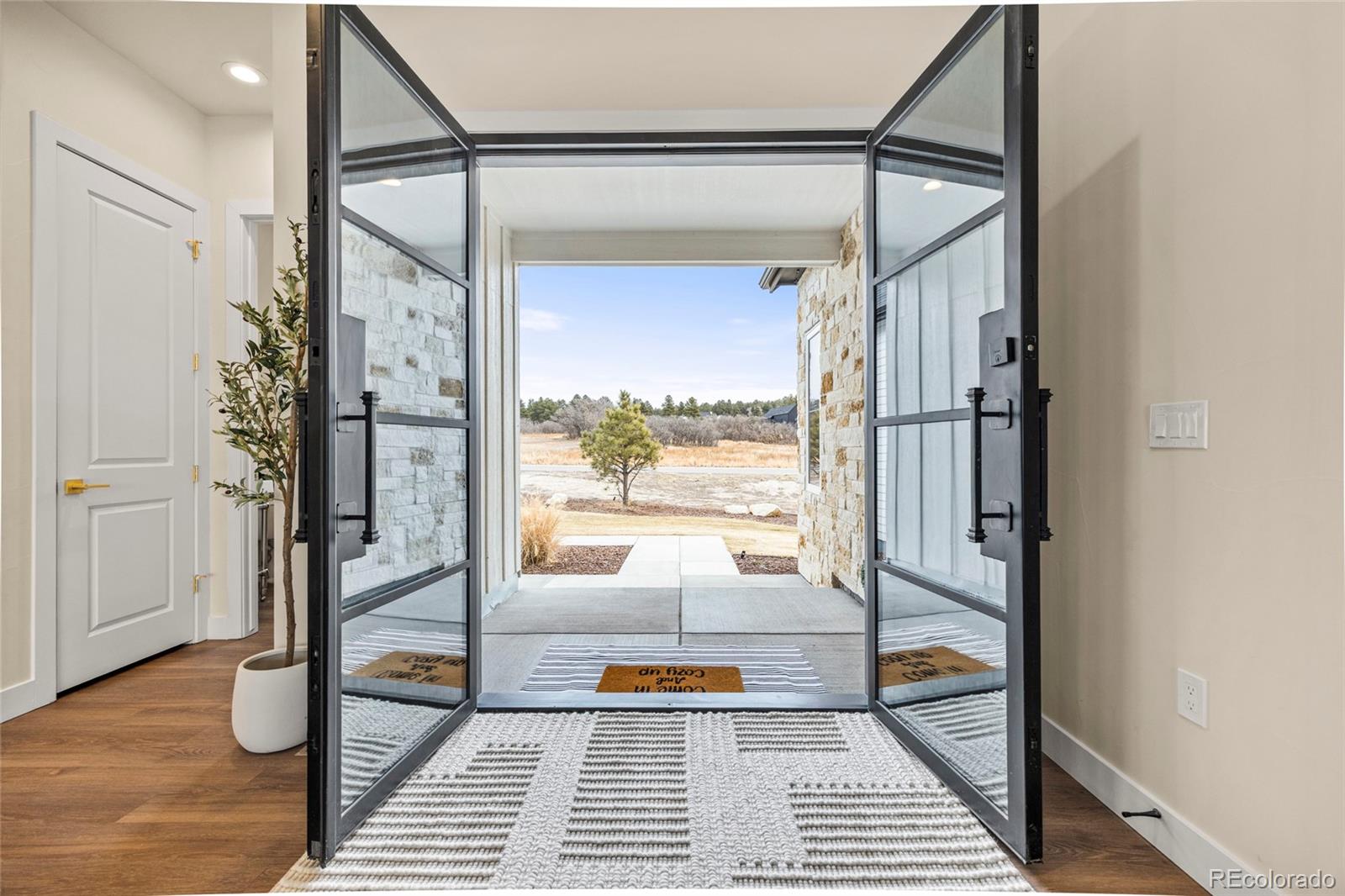 MLS Image #1 for 1675  arrowpoint court,franktown, Colorado