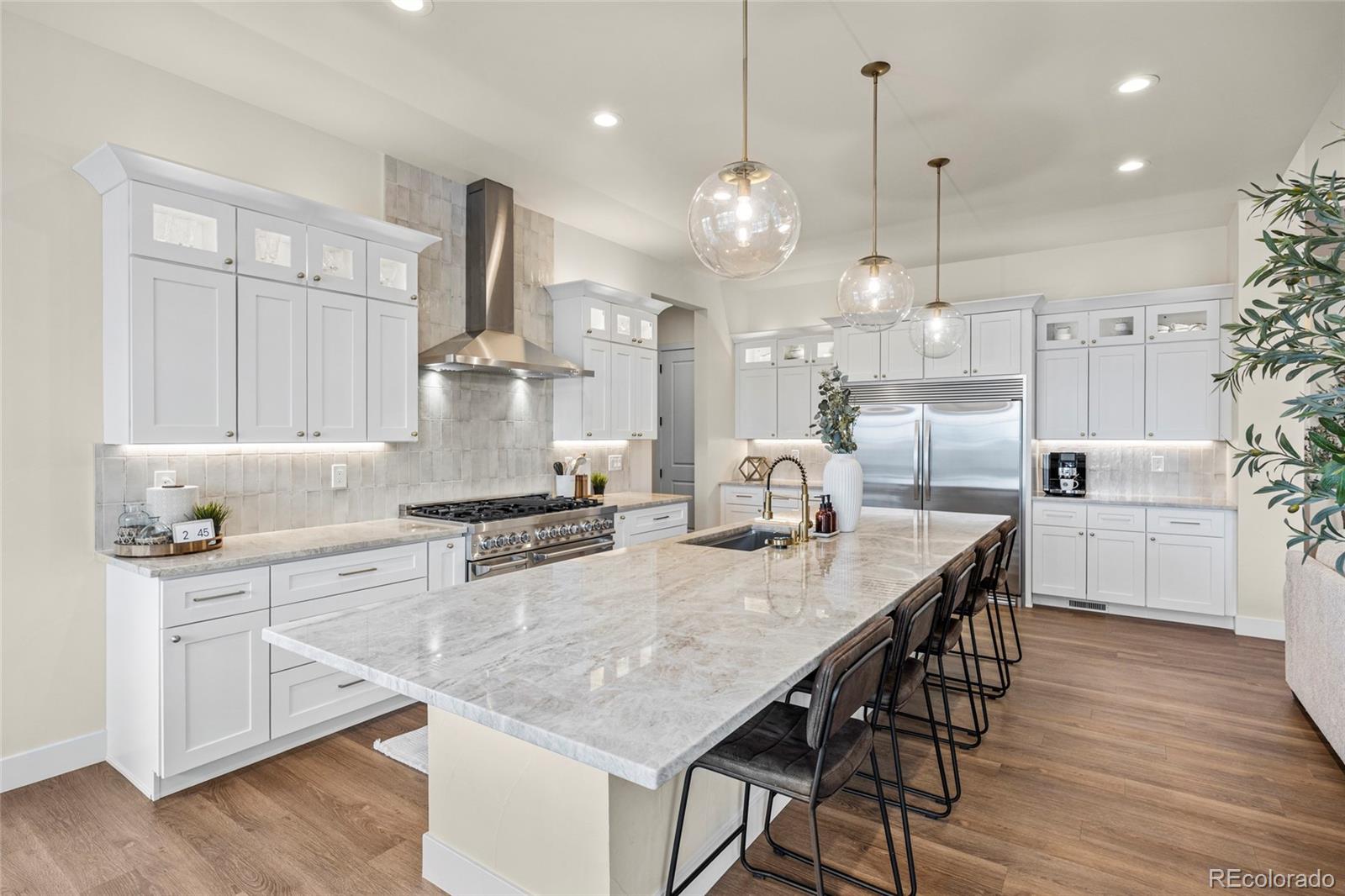MLS Image #5 for 1675  arrowpoint court,franktown, Colorado