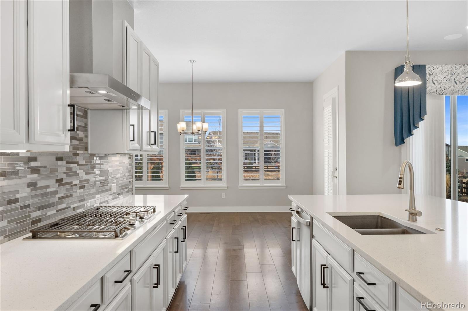 MLS Image #12 for 3351  carabiner street,castle rock, Colorado