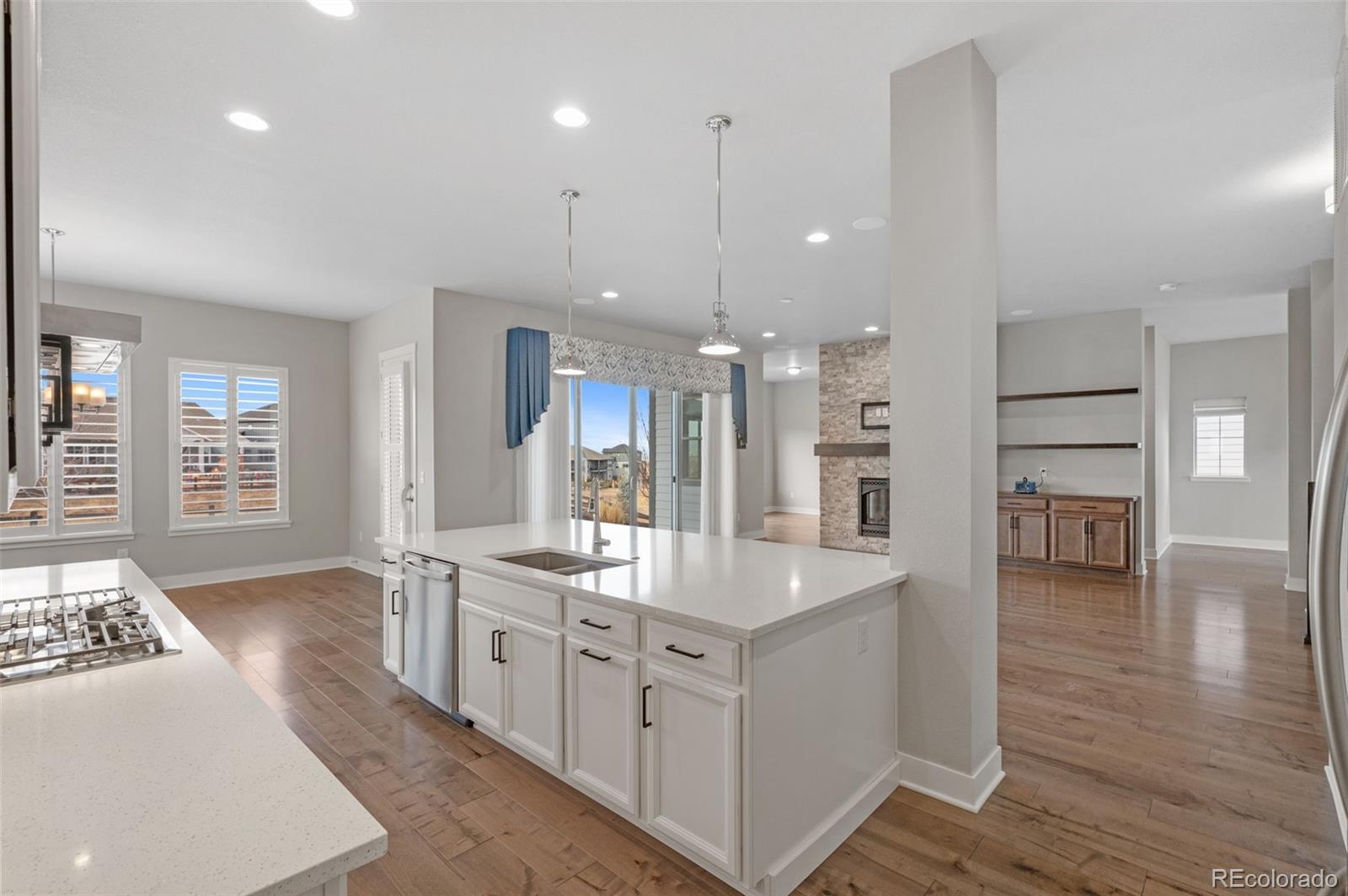 MLS Image #13 for 3351  carabiner street,castle rock, Colorado