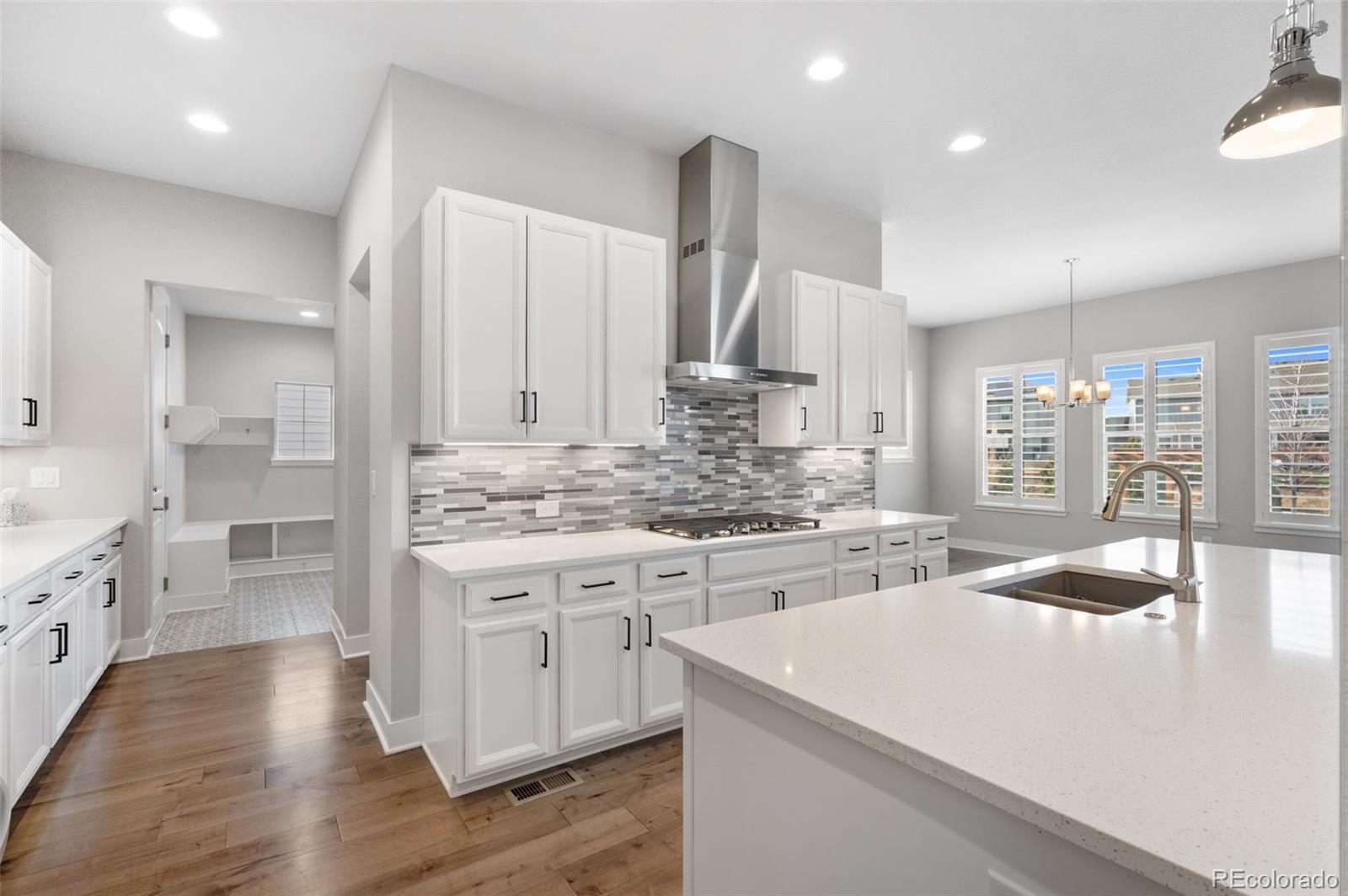 MLS Image #15 for 3351  carabiner street,castle rock, Colorado