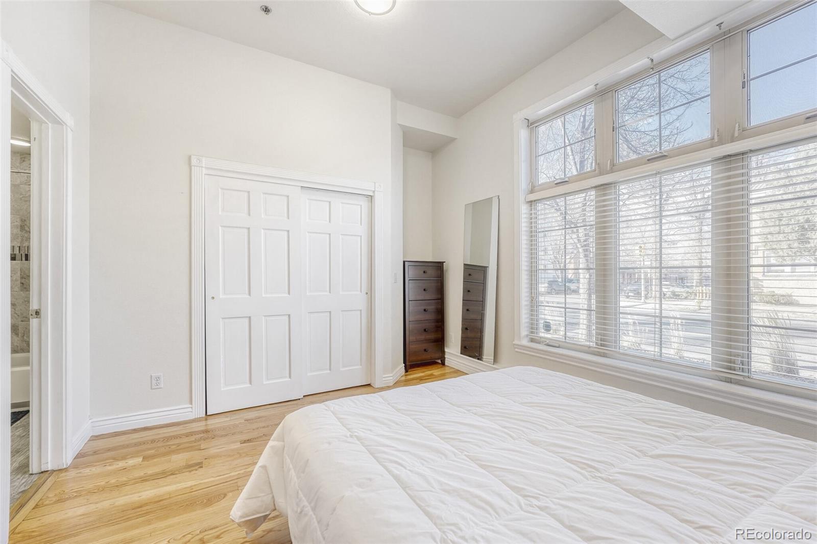 MLS Image #23 for 800 e 18th avenue,denver, Colorado
