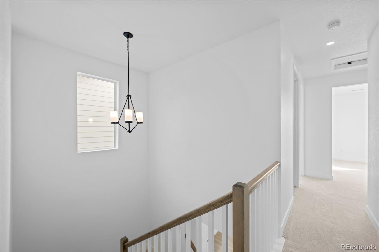 MLS Image #15 for 4885  noris avenue,morrison, Colorado