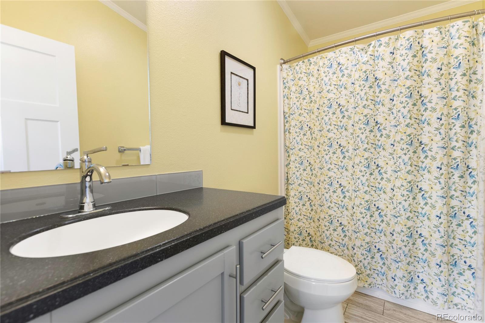 MLS Image #22 for 1431  calm mountain point,woodland park, Colorado