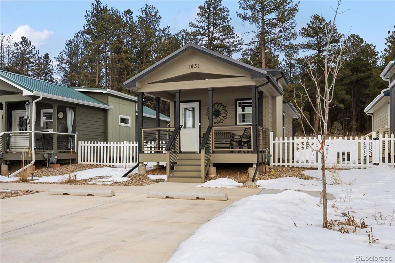 MLS Image #4 for 1431  calm mountain point,woodland park, Colorado