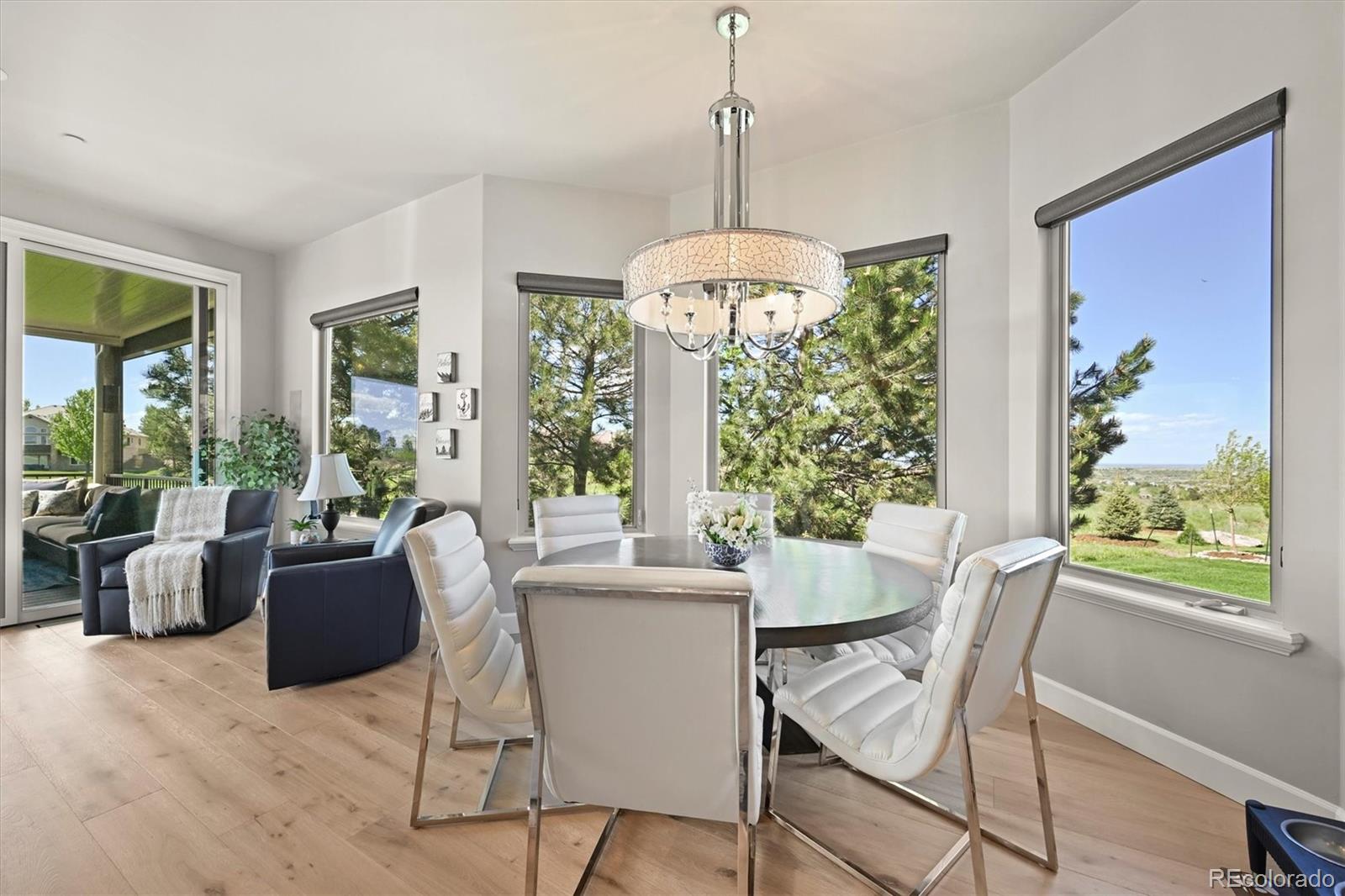 MLS Image #11 for 1287  buffalo ridge road,castle pines, Colorado