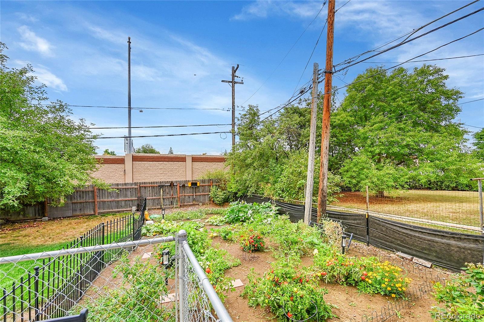 MLS Image #29 for 3360  appleblossom lane,westminster, Colorado