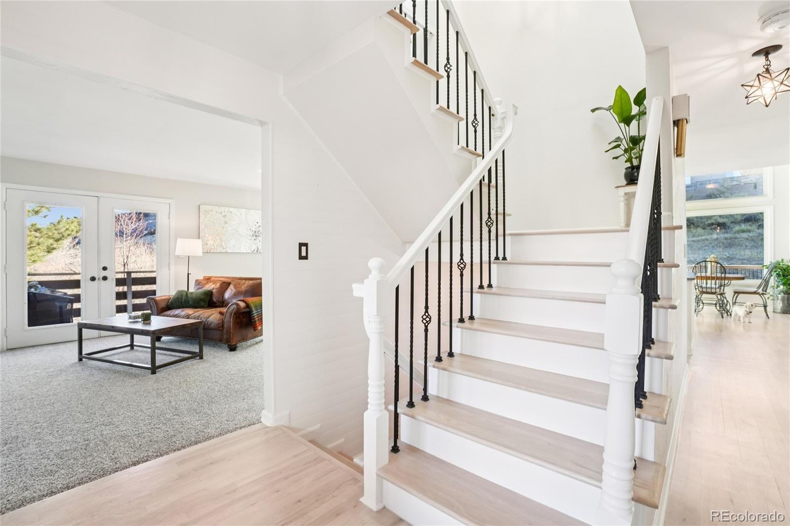 MLS Image #3 for 7084  fox paw trail,littleton, Colorado