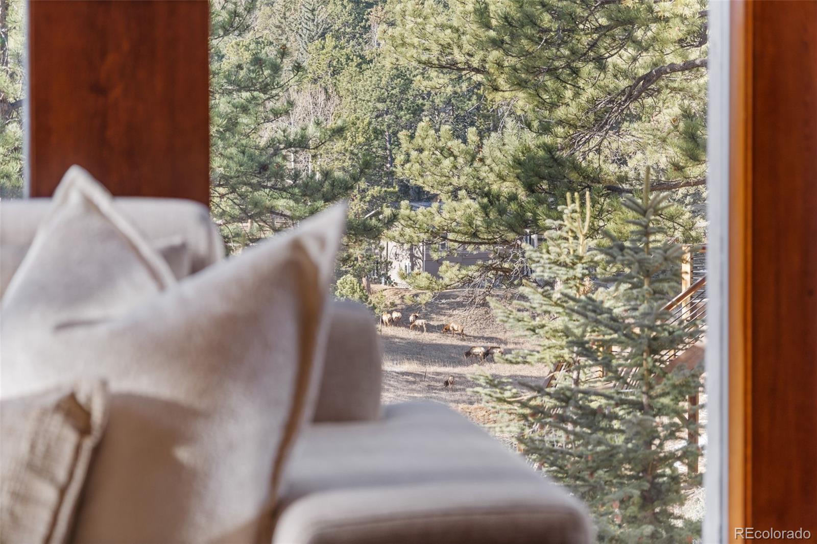 MLS Image #13 for 2122  cramner court,evergreen, Colorado