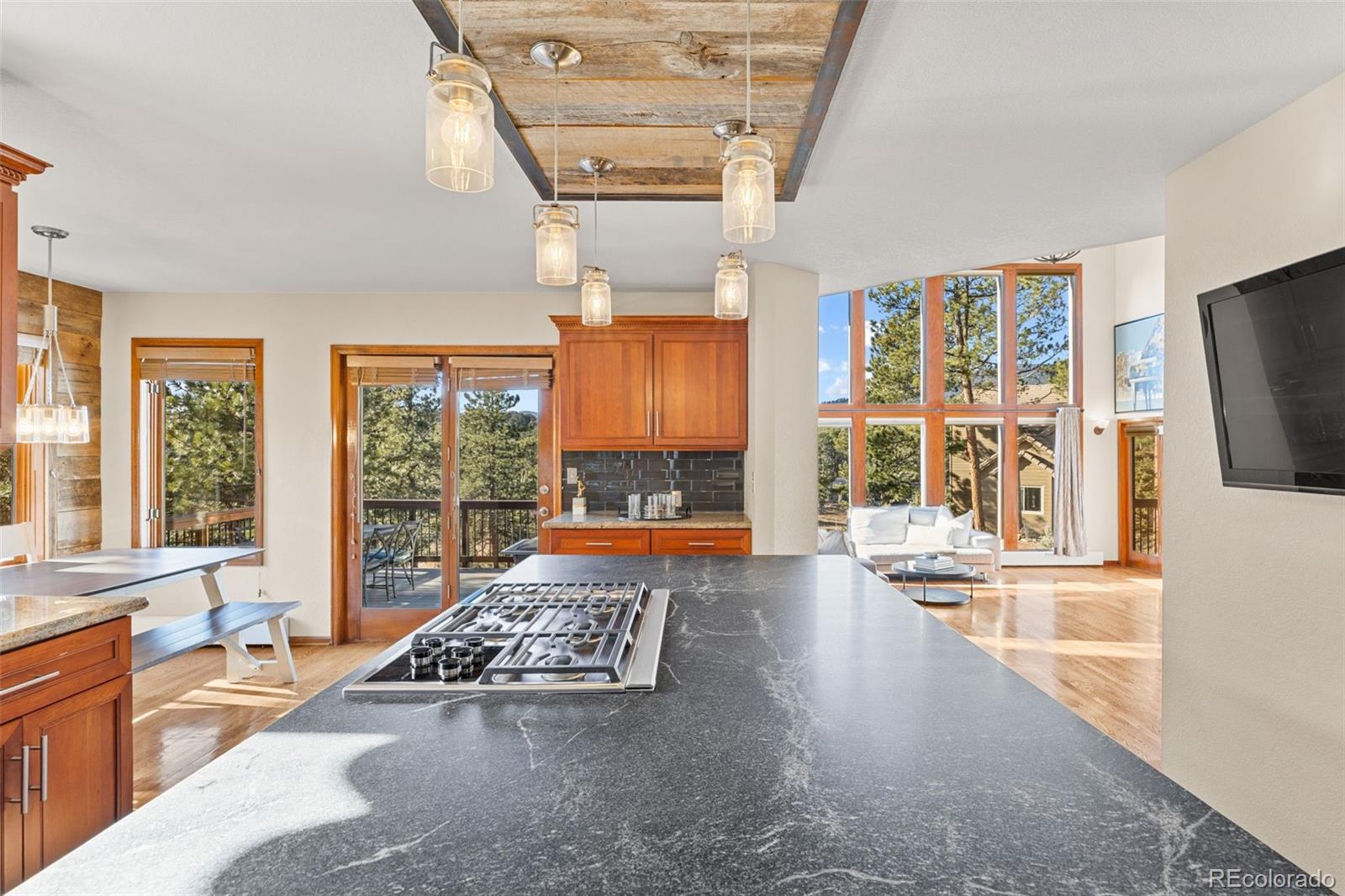MLS Image #18 for 2122  cramner court,evergreen, Colorado