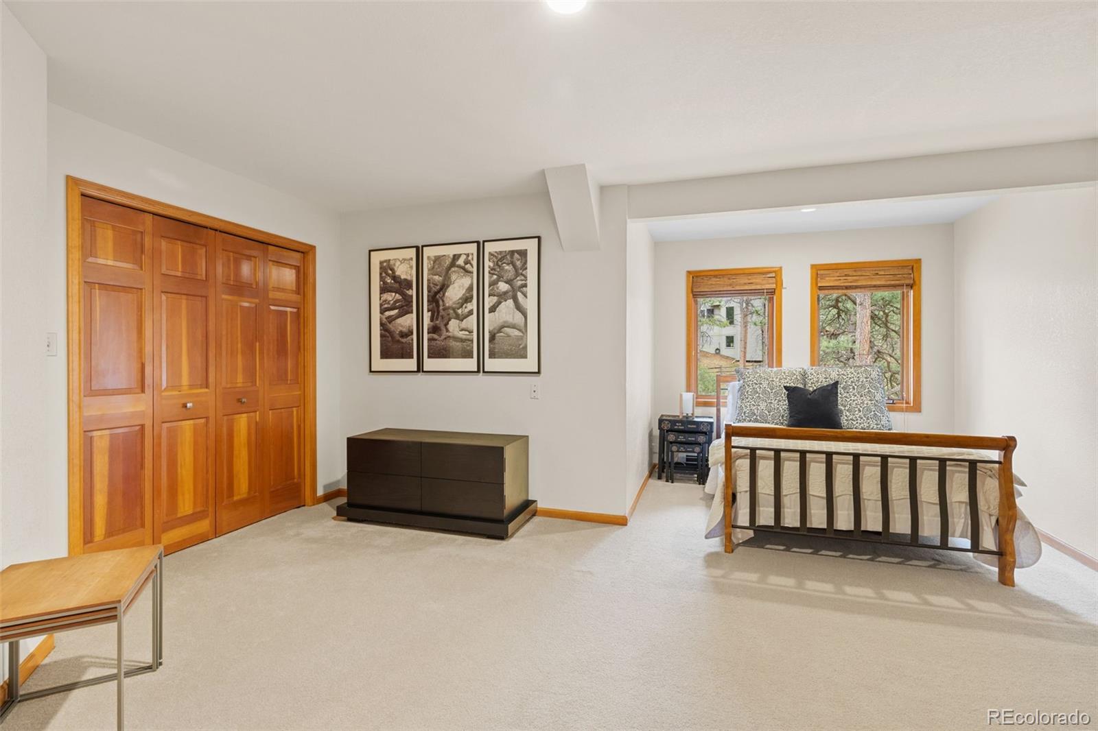 MLS Image #24 for 2122  cramner court,evergreen, Colorado